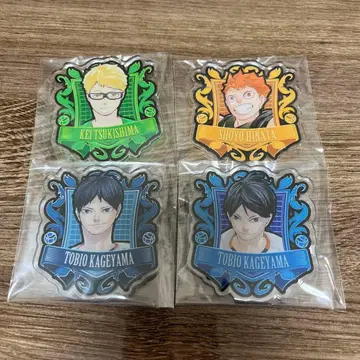 하이큐!! 아크릴 배지 카게야마 토비오 츠키시마 케이 히나타 쇼요