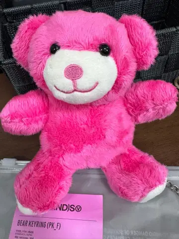 BTS V 태태 FRI(END)S 곰 키링 봉제 인형