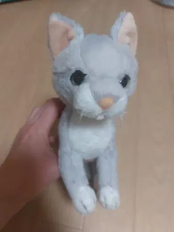 NICI 니키 마이 니키 펫 캣 22cm