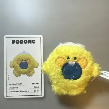 TRUZ treasure minini 포동 정우 봉제 인형