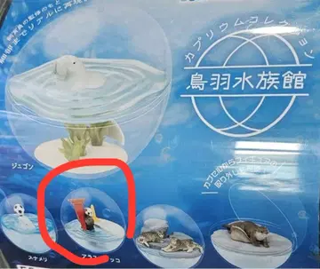 도바 수족관 피규어 캡슐 토이 랏코