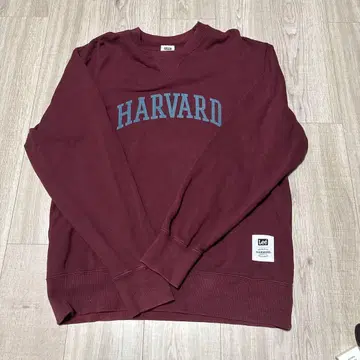 리 칼리지 맨투맨