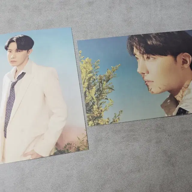 2장 일괄 bts 방탄 하이브 인사이트 엽서 제이홉 호석