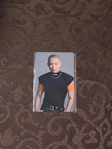 TJBB 트레이딩 카드 사토 요우