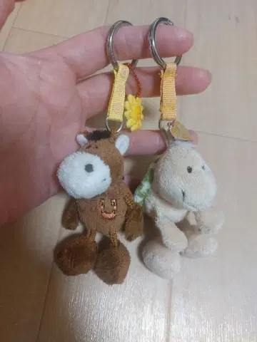 NICI 니키 호스 터틀 키링