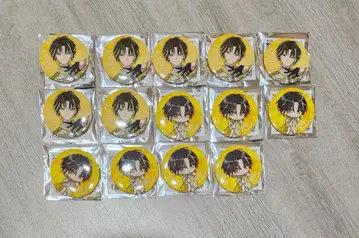 메테오라 아카라이토 캔뱃지