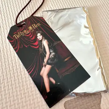 T-ARA 수하물 택 효민