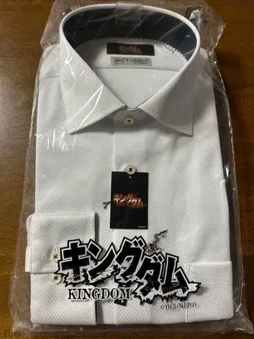 킹덤 와이셔츠 긴팔 섀도우 체크 화이트 M