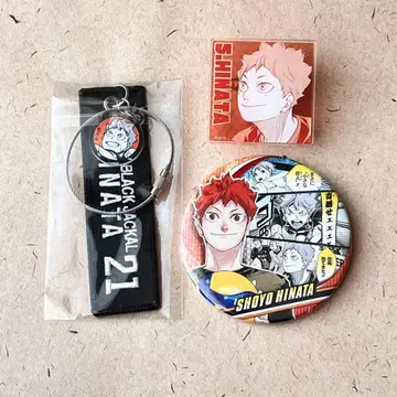 히나타 쇼요 하이큐전 아크릴 배지 & 캔뱃지 & 키링