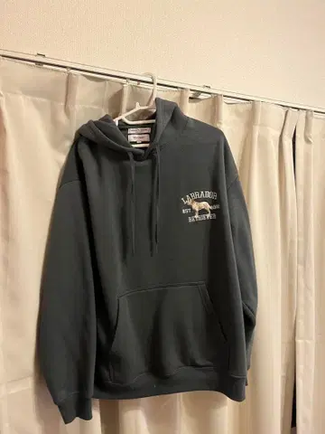 LDA 다크 그레이 후드 부착 후드티