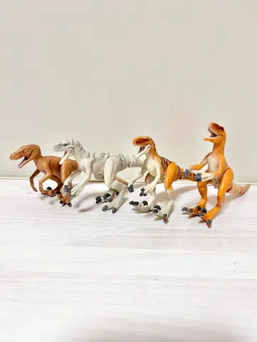 아니아 벨로키랍토르 시리즈 4체 세트