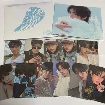 TWS 도훈 트레이딩 카드 묶음 판매