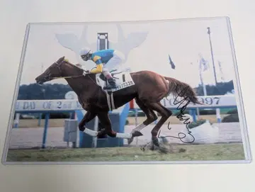 사일런스 스즈카 신마전 우에무라 히로유키 전 기수 친필 사인 패널