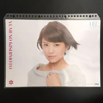 4546 츠바키팩토리 키시모토 유메노 핀업 포스터