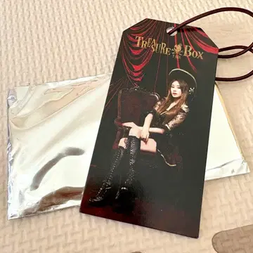 T-ARA 수하물 택 지연