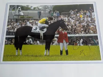 보드카 요이 요분 기수 친필 사인 패널 일본 더비