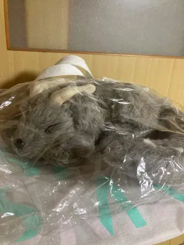 모냐모냐 봉제 인형