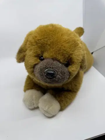 레어 쇼와 레트로 퍼스트사 장난 천사 강아지 특대형