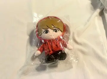 이노우에 미즈키 하피누이