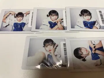 후쿠야마 리노 란 폴라로이드 5장