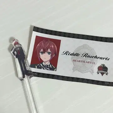 트위스테 카페 리들 로즈하트