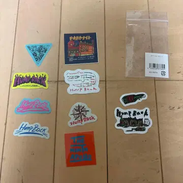 Hump Back 햄프백 스티커 피카피카 나이트 2023