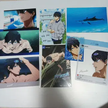 Free! 엽서 클리어 카드 슬리브 케이스