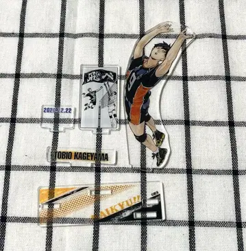 하이큐 카게야마 토비오 벌스데이 2020 명장면 디오라마