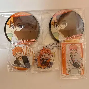 하이큐 히나타 세트