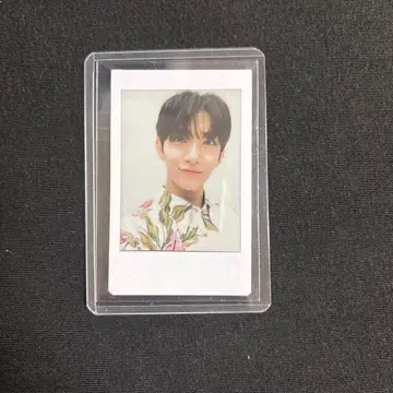 SEVENTEEN 오키나와 폴라로이드 카리유시 조슈아