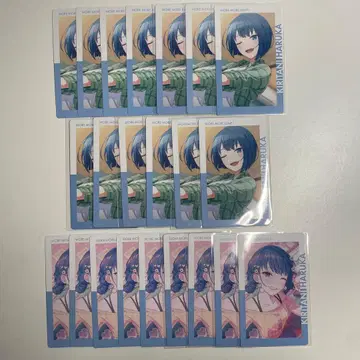 프로세카 에피카 오동나무 23c