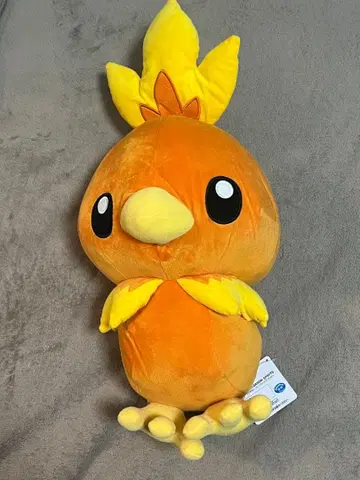 아차모 봉제 인형 포켓몬