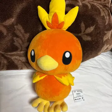 포켓몬스터 아차모 봉제 인형 인형뽑기 경품