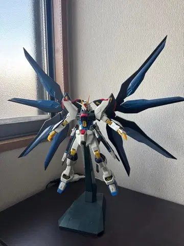 정크 1/60 스트라이크 프리덤 건담 라이트닝 에디션