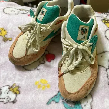 Mizuno 컨텐더 컨트리사이드팩 [ 과실 ] 모델