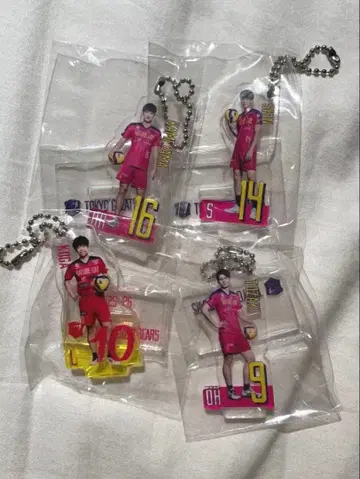 도쿄 그레이트 베어즈 토자키 테하라 코가 카메야마