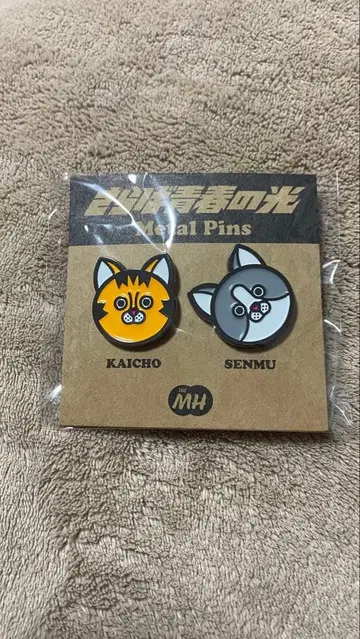 사라바 세이슌노 히카리 스테고로 메탈 핀 배지