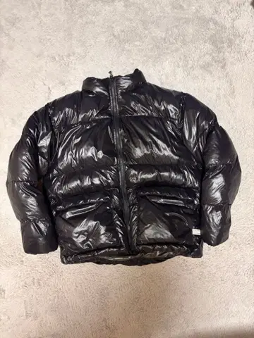 ROIAL 광택 다운 자켓