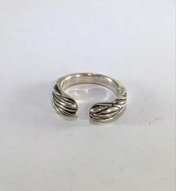 IL BISONTE 실버925 반지