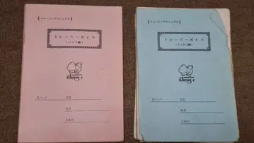 스카이락 트레이니 가이드 3권