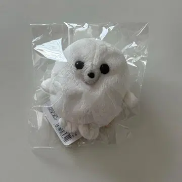 미니 콩 봉제 인형 물개 A-SHOW