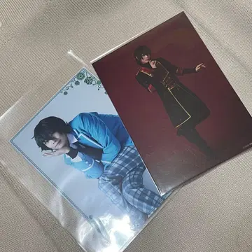 앙스테 란브로 카게히라 미카