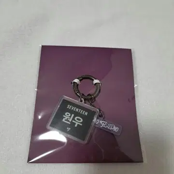SEVENTEEN 원우 HYBE INSIGHT 네임택 키링