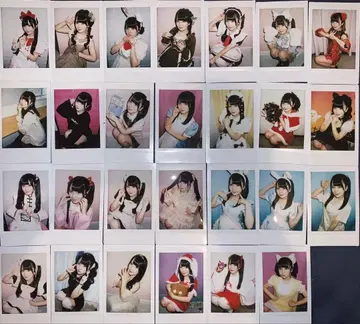 레나치 솔로 폴라로이드