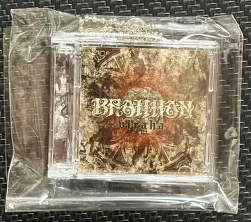 진미래제2025 가챠가챠 Day3 BRAHMAN