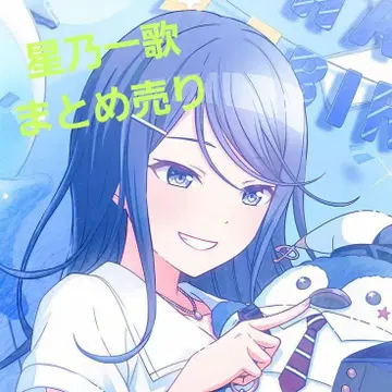 호시노 이치카 묶음 판매