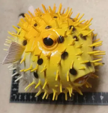 복어 소프트 비닐