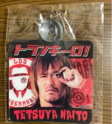 신일본 프로레슬링 나이토 테츠야 카사인