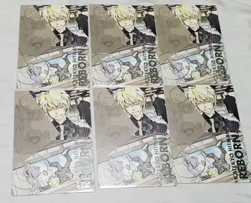 가정교사 히트맨 REBORN! 디노 박금박 엽서 아마노 아키라 전시회