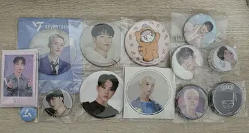 SEVENTEEN 세부치 호시 캔뱃지 세트